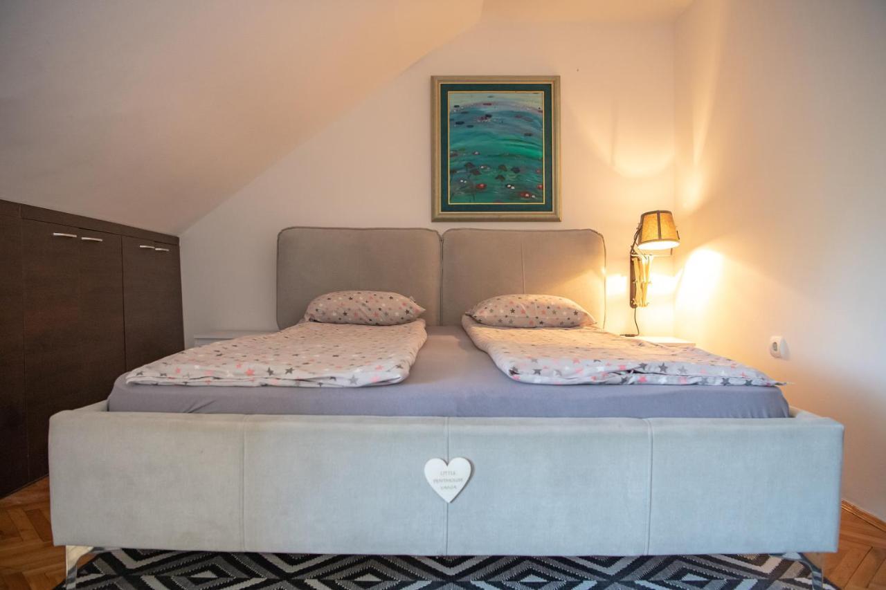 Marina Penthouse Apartment Нови Сад Екстериор снимка