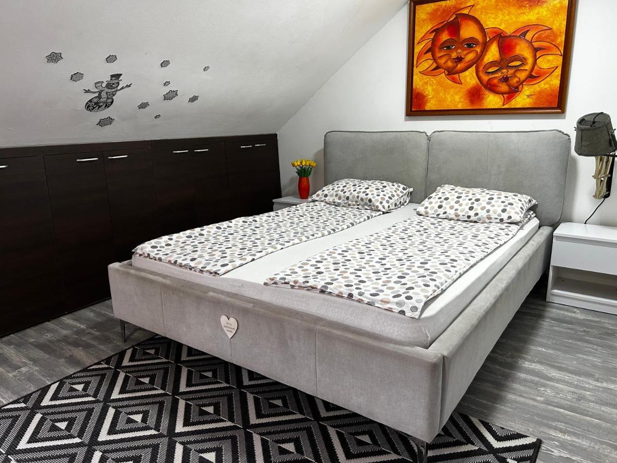 Marina Penthouse Apartment Нови Сад Екстериор снимка