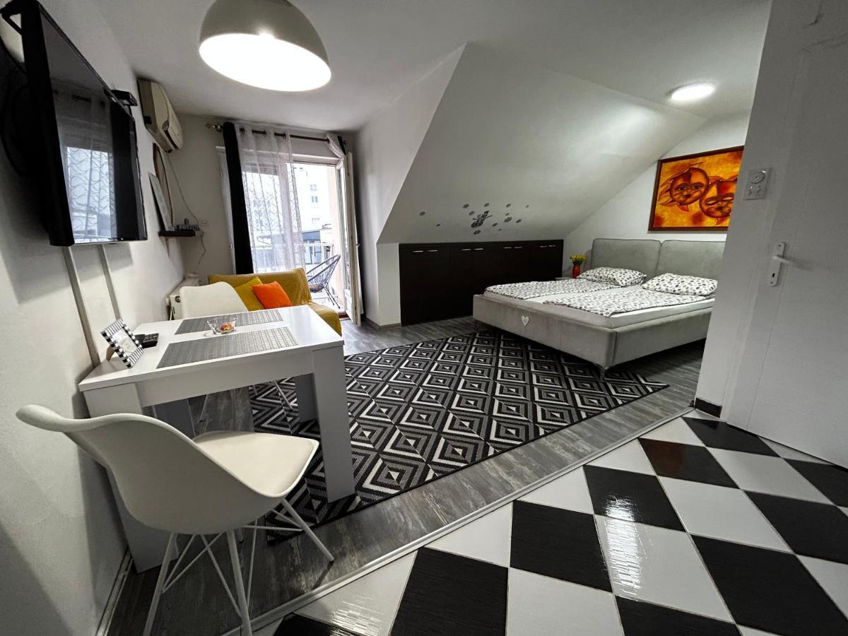 Marina Penthouse Apartment Нови Сад Екстериор снимка